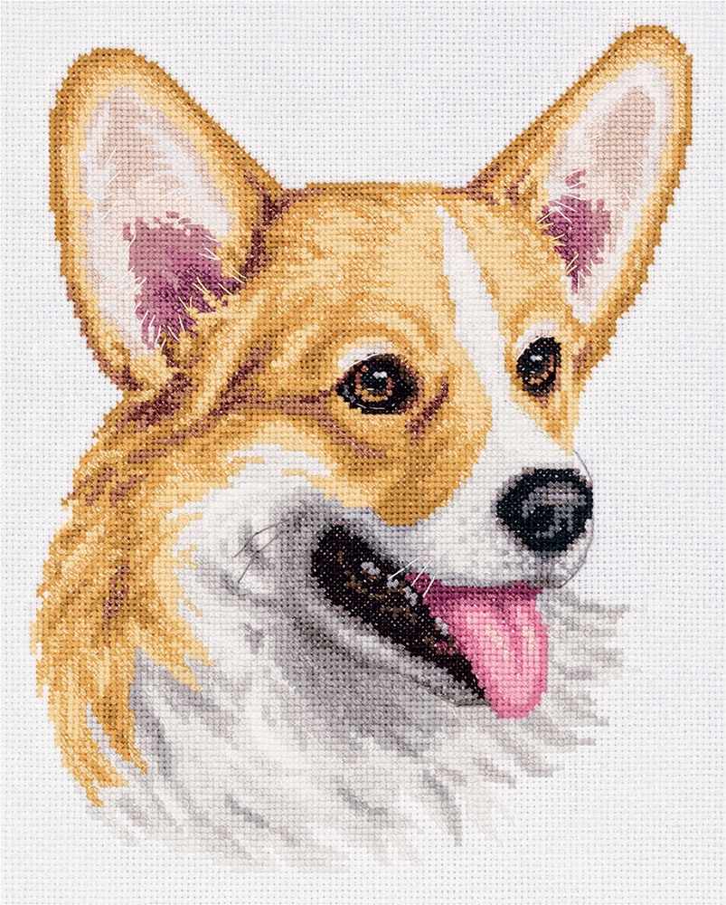 Welsh Corgi